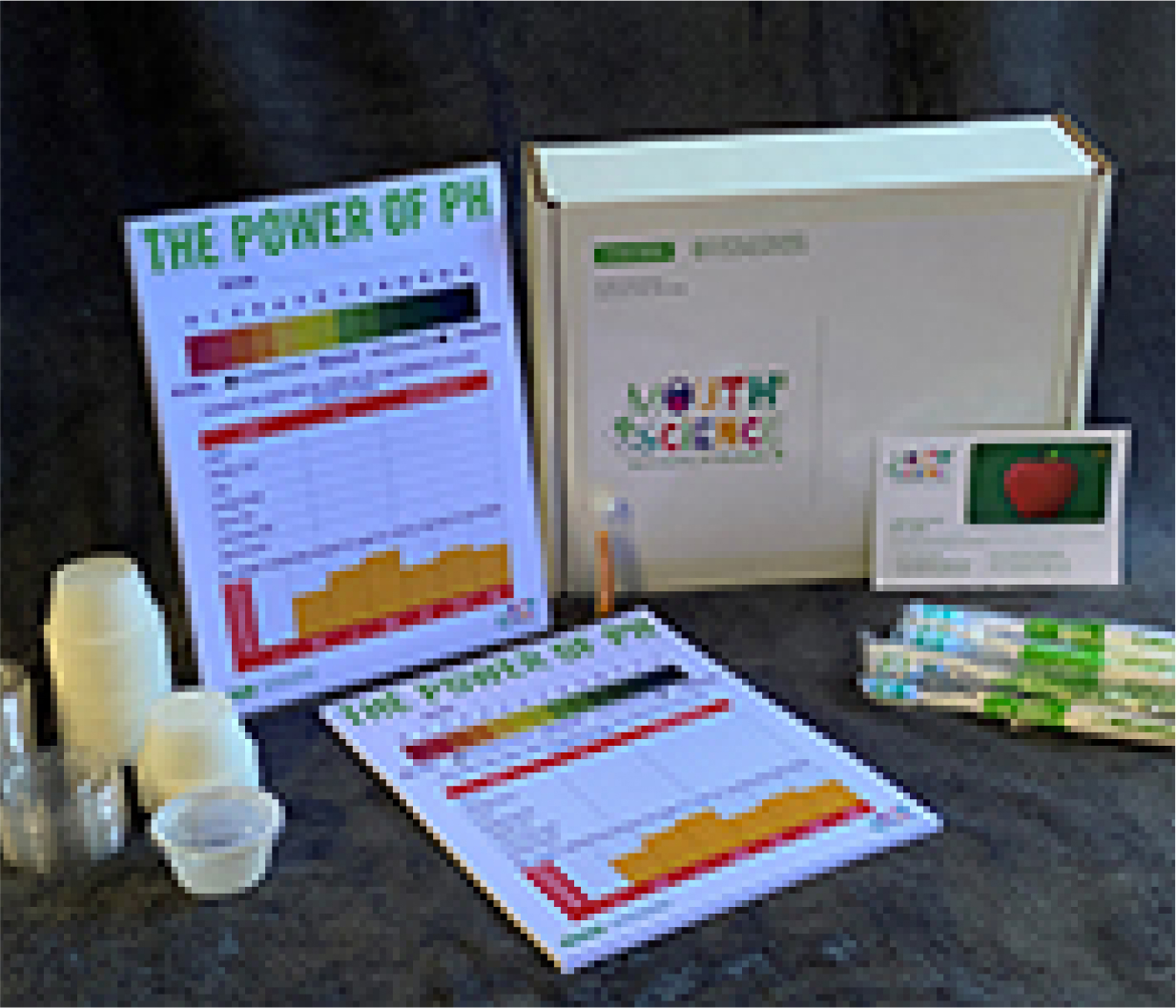 A Mouth Science Kit full of teaching materials for schools